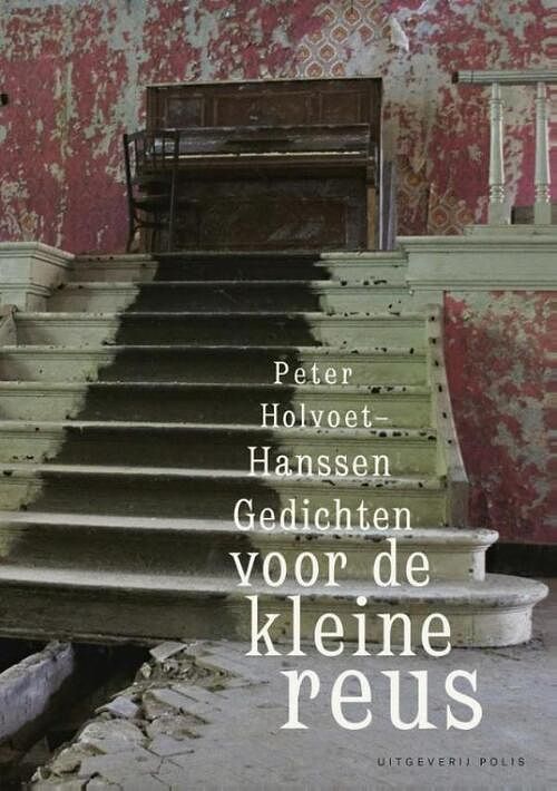 Foto van Gedichten voor de kleine reus - holvoet-hanssen peter - ebook (9789463100526)