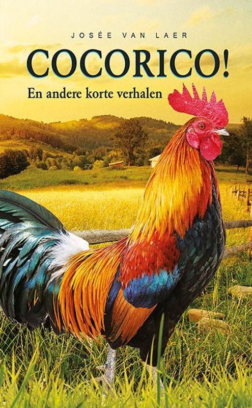 Foto van Cocorico - josée van laer - paperback (9789086967070)