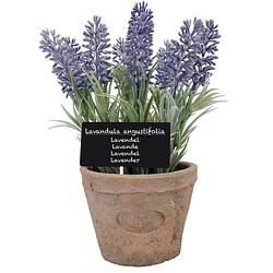 Foto van Kunstplant lavendel in terracotta pot 23 cm - kunstplanten/nepplanten