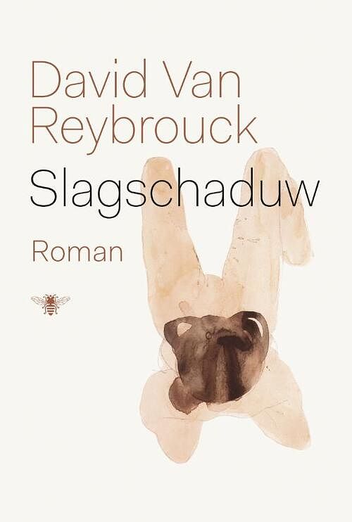 Foto van Slagschaduw - david van reybrouck - ebook (9789023493877)