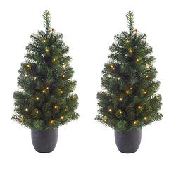 Foto van 2x stuks kunstbomen/kunst kerstbomen met verlichting 120 cm - kunstkerstboom