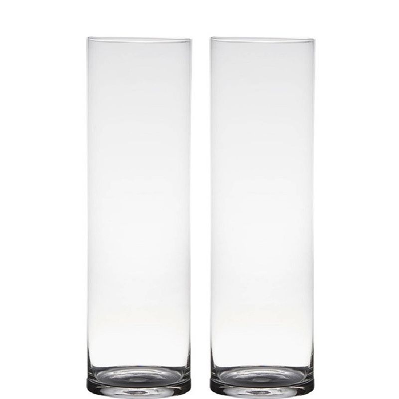 Foto van Set van 2x stuks transparante home-basics cylinder vorm vaas/vazen van glas 50 x 15 cm - vazen