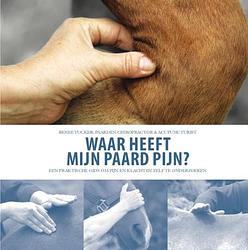 Foto van Waar heeft mijn paard pijn? - renee tucker - paperback (9789492284235)