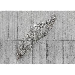 Foto van Komar concrete feather vlies fotobehang 350x250cm 7-banen