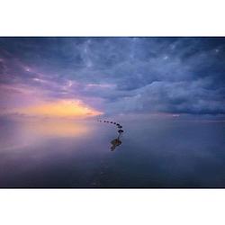 Foto van Wizard+genius wetland sunrise vlies fotobehang 384x260cm 8-banen
