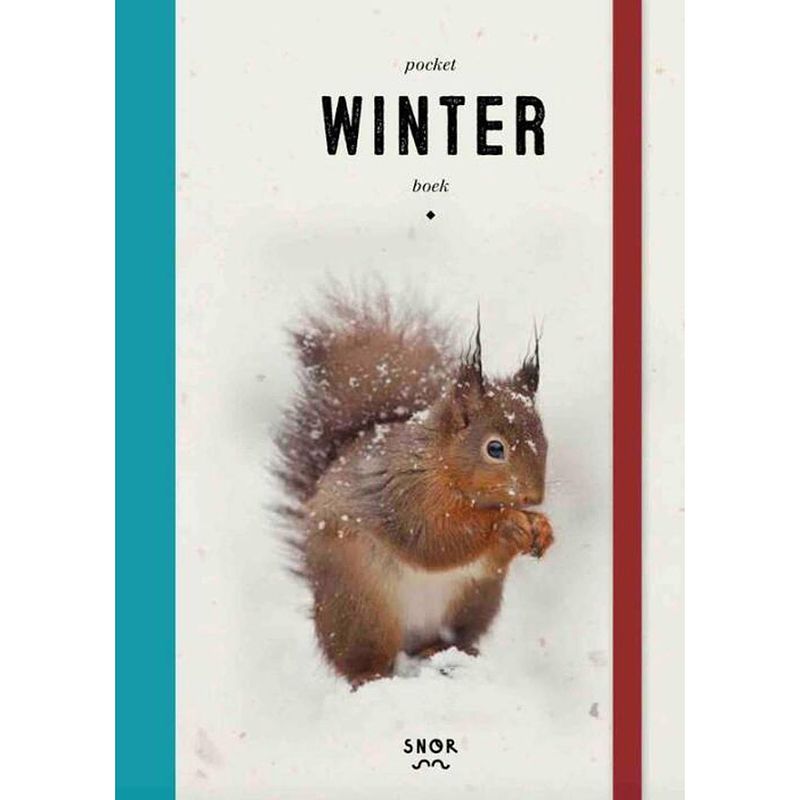 Foto van Pocket winterboek