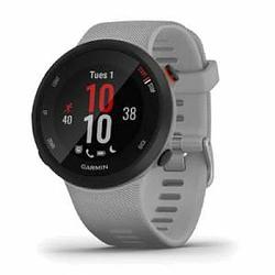 Foto van Smartwatch garmin forerunner 45 plus grijs 1,04"" ø 42 mm