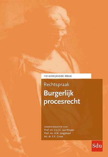 Foto van Rechtspraak burgerlijk procesrecht - paperback (9789012406949)