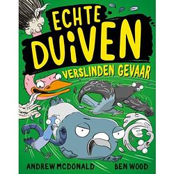 Foto van Echte duiven verslinden gevaar - echte duiven