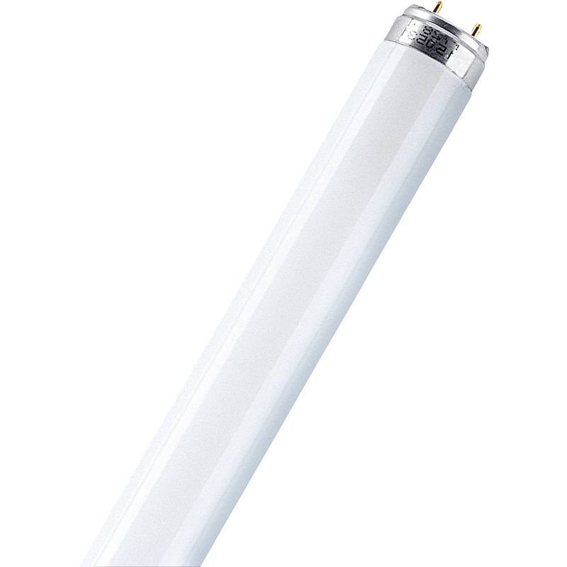 Foto van Osram tl-lamp energielabel: g (a - g) g13 58 w koudwit buis (ø x l) 25.5 mm x 1514.2 mm 1 stuk(s)