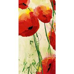 Foto van Heidi reil - klatschmohn kunstdruk 50x100cm