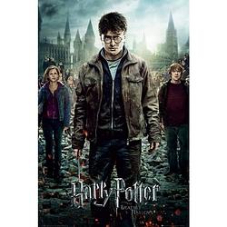 Foto van Gbeye harry potter 7 part 2 deco panel 60x90cm