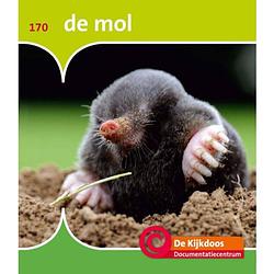 Foto van De mol - de kijkdoos