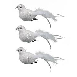 Foto van 6x stuks decoratie vogels op clip glitter wit 18 cm - kersthangers