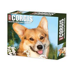 Foto van Welsh corgi kalender 2023 boxed