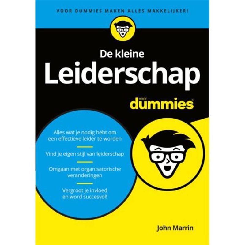 Foto van De kleine leiderschap voor dummies