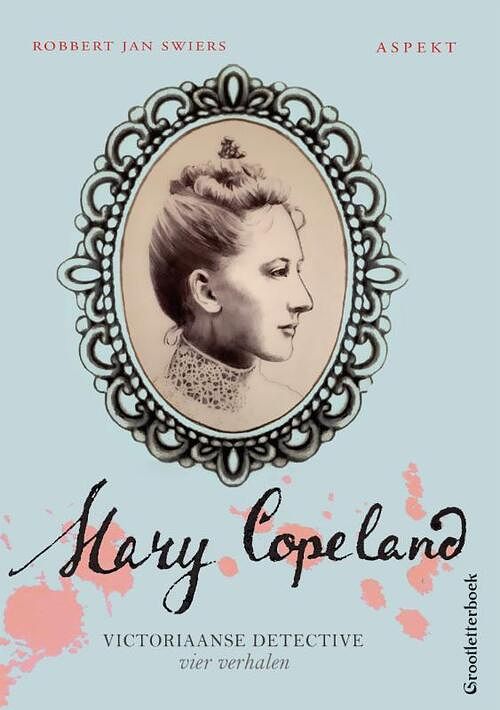 Foto van Mary copeland 6 glb - robbert jan swiers - paperback (9789464629682)