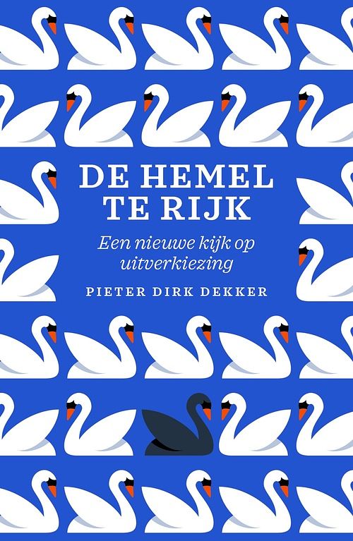 Foto van De hemel te rijk - pieter dirk dekker - ebook