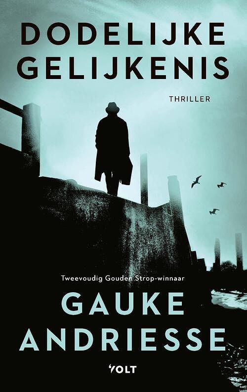 Foto van Dodelijke gelijkenis - gauke andriesse - ebook (9789021464121)