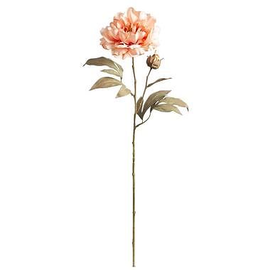 Foto van Peony spray - roze - 65 cm - leen bakker