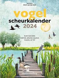 Foto van Vogelscheurkalender 2024 - sander macquoy - paperback (9789043926980)