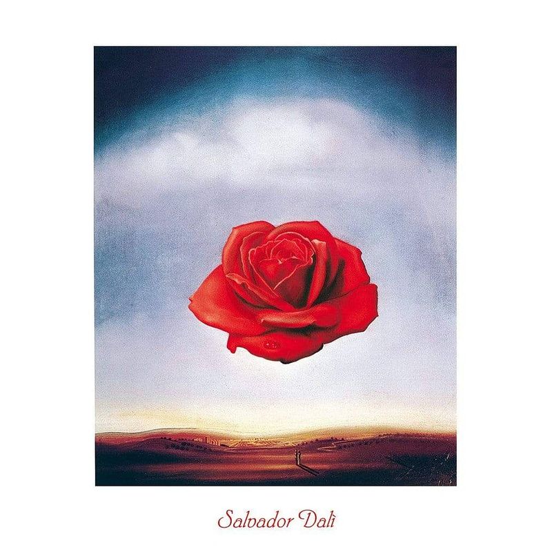 Foto van Salvador dali - rose meditative kunstdruk 60x80cm