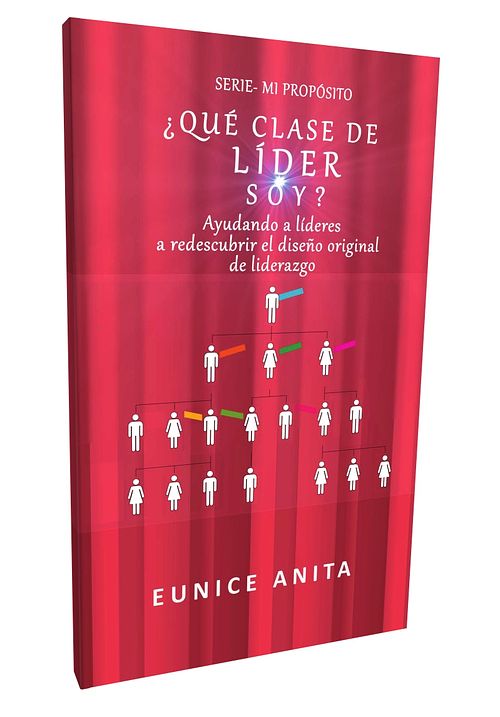 Foto van ¿qué clase de líder soy? - eunice anita, mercedes j. martínez martínez - ebook (9789492266330)