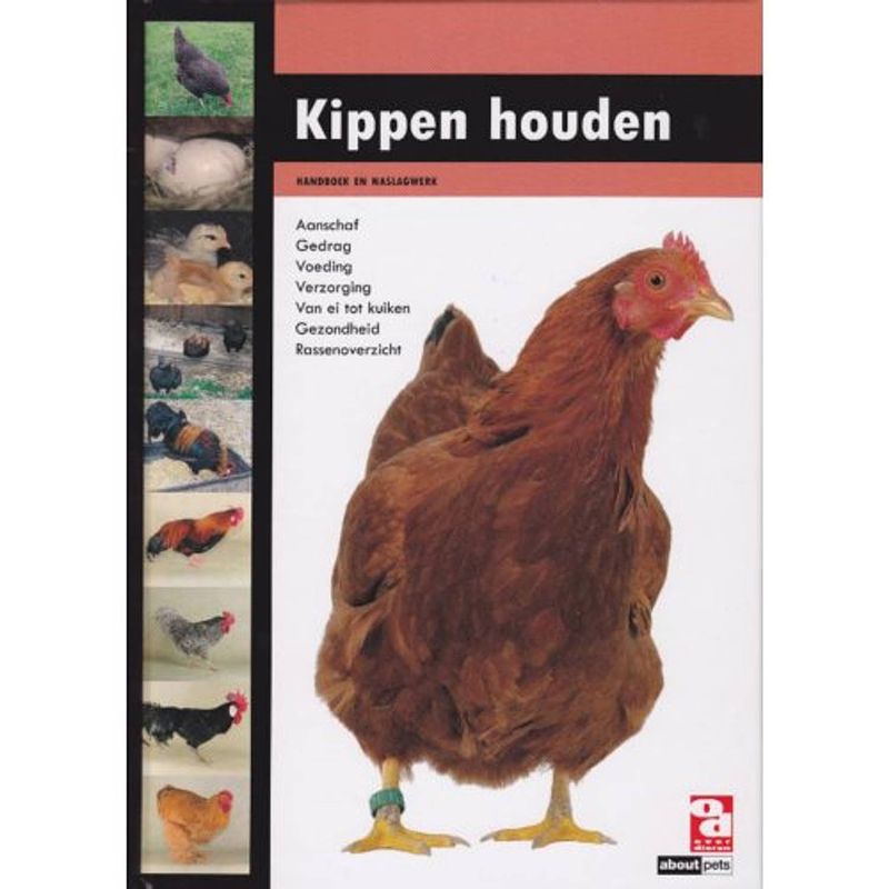 Foto van Kippen houden - over dieren