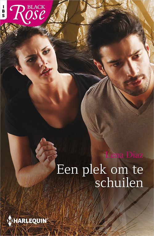 Foto van Een plek om te schuilen - lena diaz - ebook