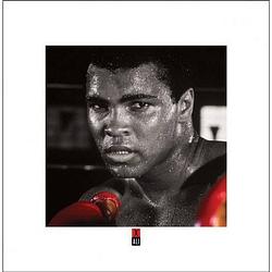 Foto van Pyramid muhammad ali boxing gloves kunstdruk 40x40cm