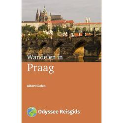 Foto van Wandelen in praag - odyssee reisgidsen