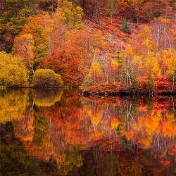 Foto van Inductiebeschermer - autumn lake - 70x55 cm