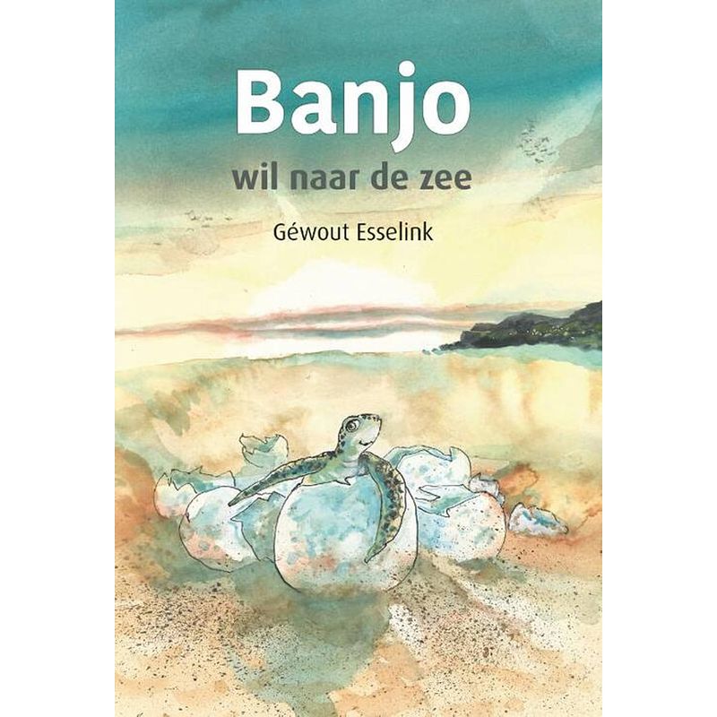 Foto van Banjo wil naar de zee