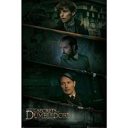 Foto van Pyramid fantastic beasts the secrets of dumbledore three wands poster 61x91,5cm