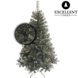 Foto van Kerstboom excellent trees® stavanger silver 180 cm - luxe uitvoering