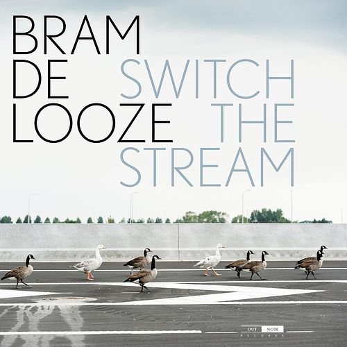 Foto van Switch the stream - lp (5400439006911)