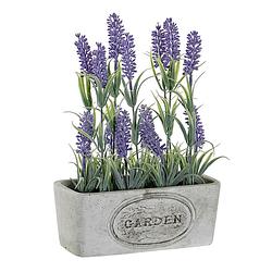 Foto van Lavendel bloemen kunstplant in bloempot - paarse bloemen - 19 x 9 x 28 cm - kunstplanten