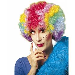Foto van Clownspruik multikleuren voor dames