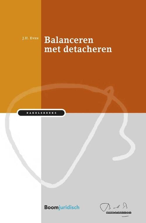 Foto van Balanceren met detacheren - zef even - paperback (9789462905726)