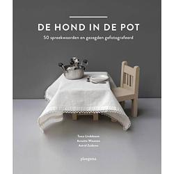 Foto van De hond in de pot