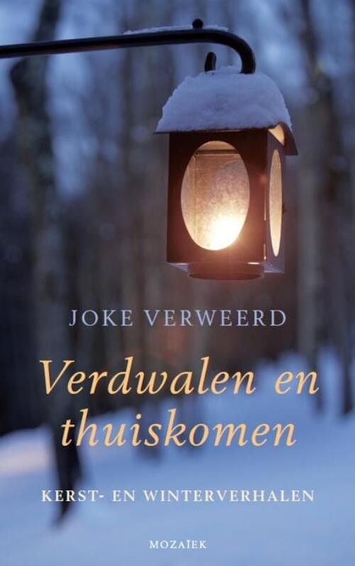 Foto van Verdwalen en thuiskomen - joke verweerd - ebook (9789023918783)