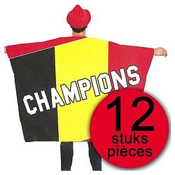 Foto van 12 stuks vlag cape belgiv´ champions 150x110cm