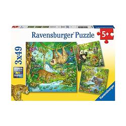 Foto van Ravensburger puzzel in het oerwoud