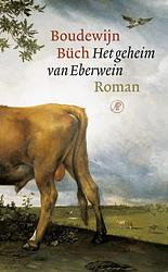 Foto van Het geheim van eberwein - boudewijn büch - ebook (9789029580922)