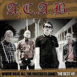 Foto van Where have all the bootboys gone/best of - cd (4260124282652)