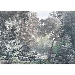 Foto van Komar fairytale forest vlies fotobehang 400x280cm 4-banen