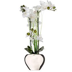 Foto van Atmosphera orchidee bloem kunstplant - wit - h53 x b37 cm - kunstplanten