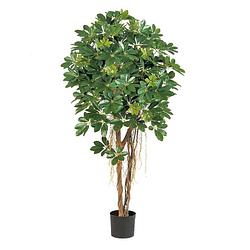 Foto van Kunstplant schefflera umbrella - 140 cm