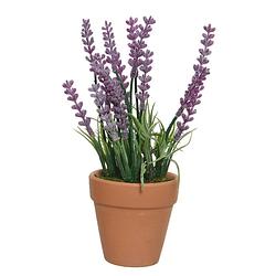 Foto van Lavendel kunstplant in terracotta pot - paars - d6 x h18 cm - kunstplanten