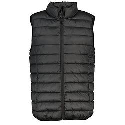 Foto van Heren bodywarmer